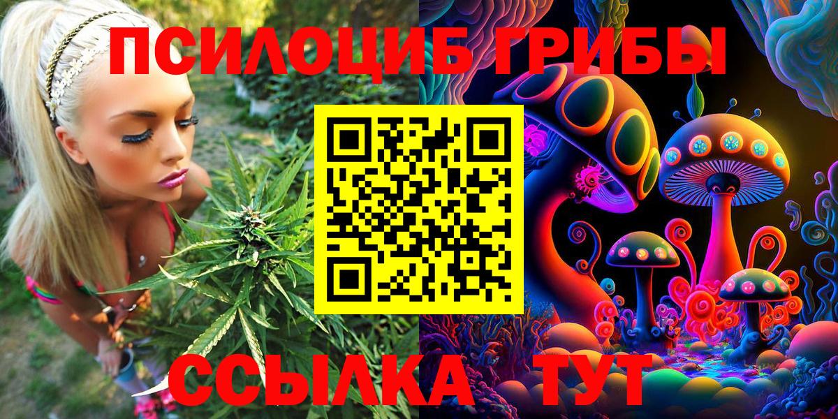 Галлюциногенные грибы мицелий  закладка  Сосновоборск  Вход с VPN 
